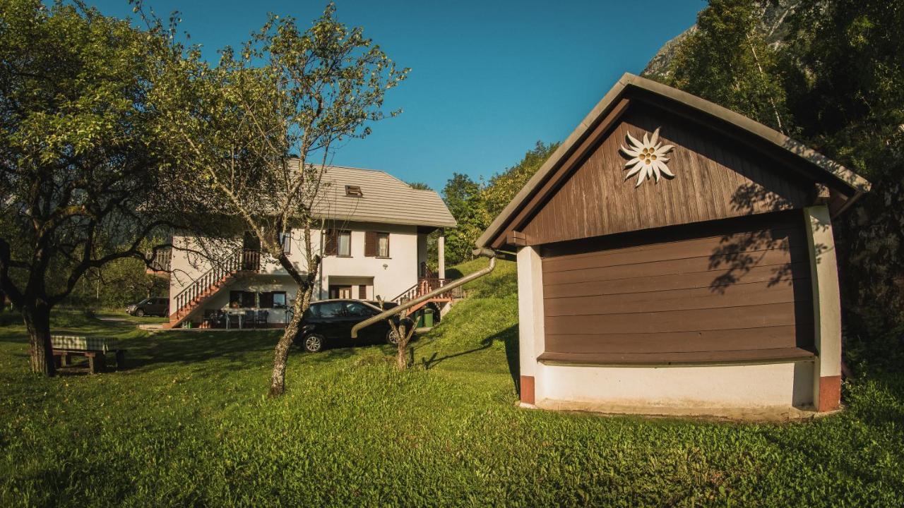 Апартаменты Roja House Соча Экстерьер фото