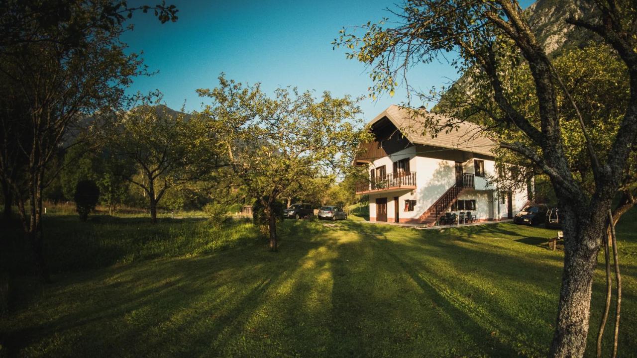Апартаменты Roja House Соча Экстерьер фото